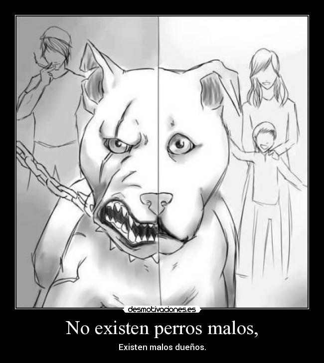 No existen perros malos, - Existen malos dueños.