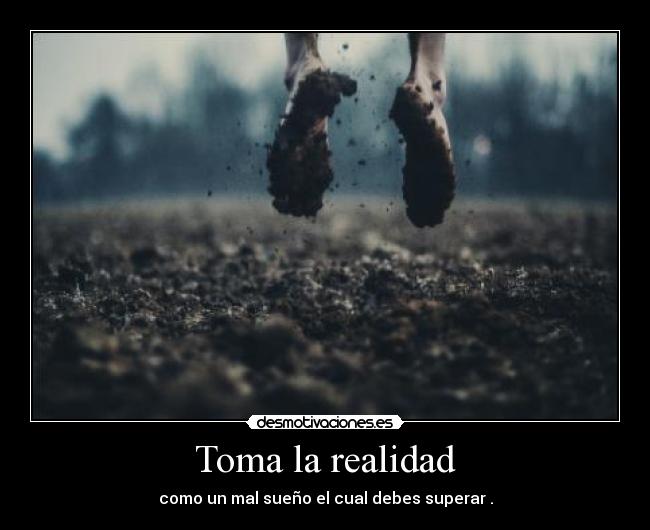 Toma la realidad - 