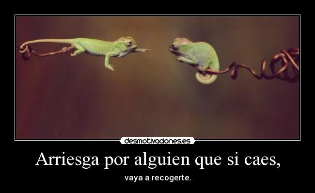 Arriesga por alguien que si caes, - vaya a recogerte.