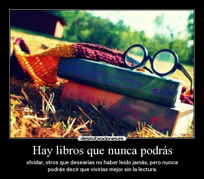 Hay libros que nunca podrás - 