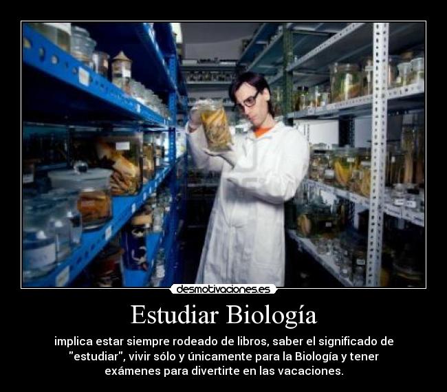 Estudiar Biología - implica estar siempre rodeado de libros, saber el significado de
estudiar, vivir sólo y únicamente para la Biología y tener
exámenes para divertirte en las vacaciones.