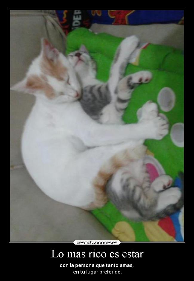 carteles king gargola5 clantriton addictive amor gatos desmotivaciones