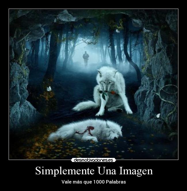 Simplemente Una Imagen - Vale más que 1000 Palabras