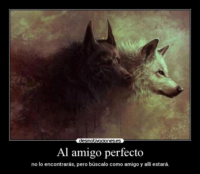 Al amigo perfecto -