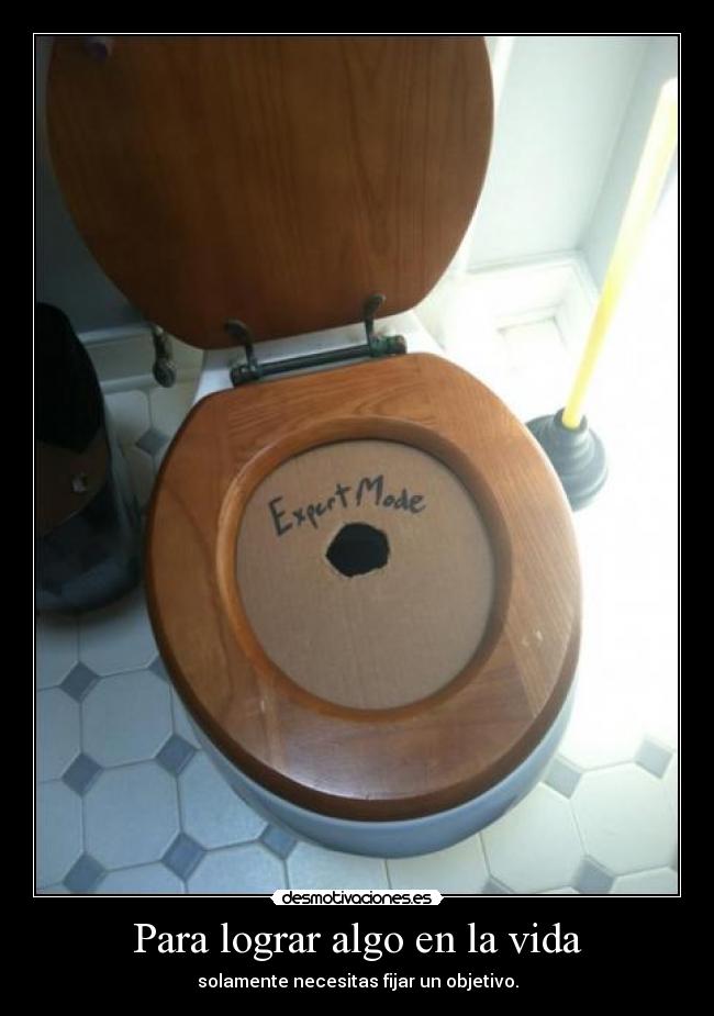 Para lograr algo en la vida - 