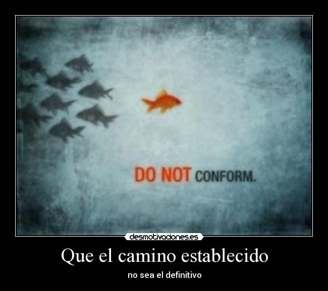 carteles not comform prefiriria una pirana como siempre desmotivaciones