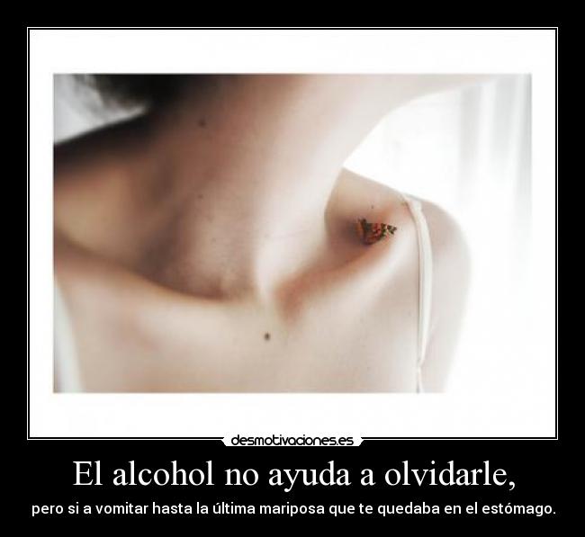 El alcohol no ayuda a olvidarle, - pero si a vomitar hasta la última mariposa que te quedaba en el estómago.