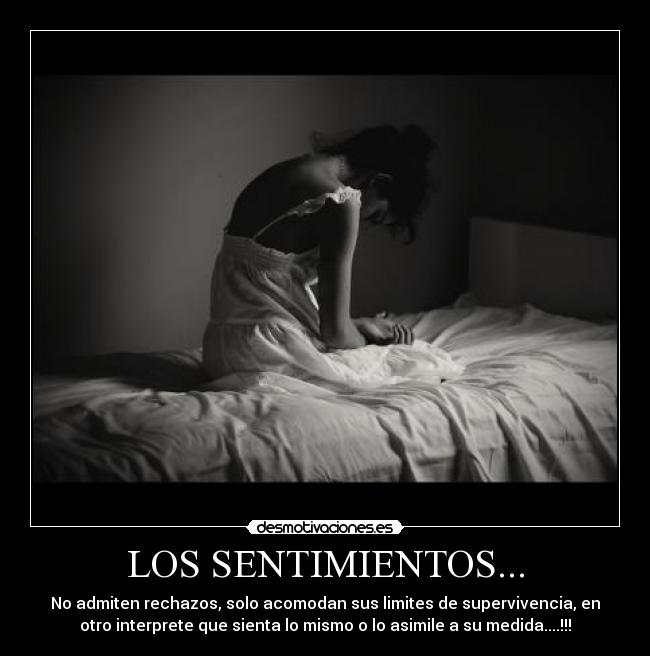 LOS SENTIMIENTOS... - No admiten rechazos, solo acomodan sus limites de supervivencia, en
otro interprete que sienta lo mismo o lo asimile a su medida....!!!