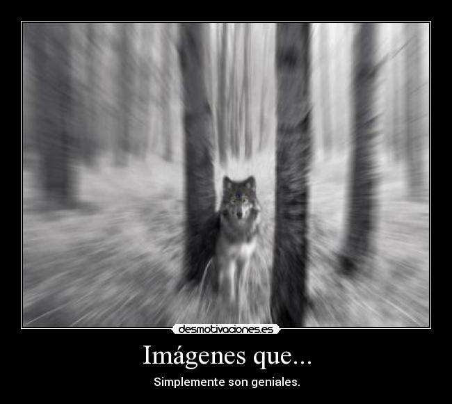 Imágenes que... - Simplemente son geniales.
