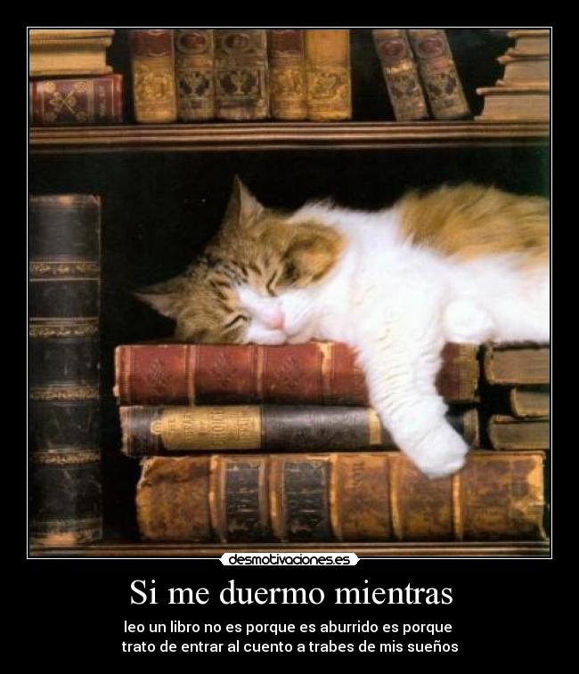 Si me duermo mientras - leo un libro no es porque es aburrido es porque
trato de entrar al cuento a trabes de mis sueños