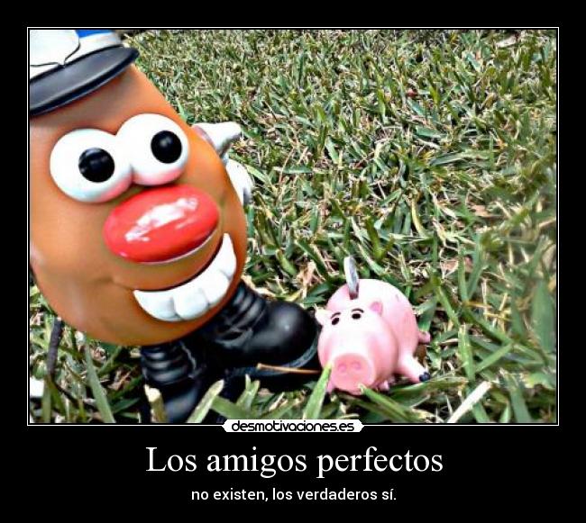 Los amigos perfectos -
