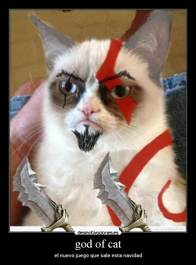 god of cat - el nuevo juego que sale esta navidad