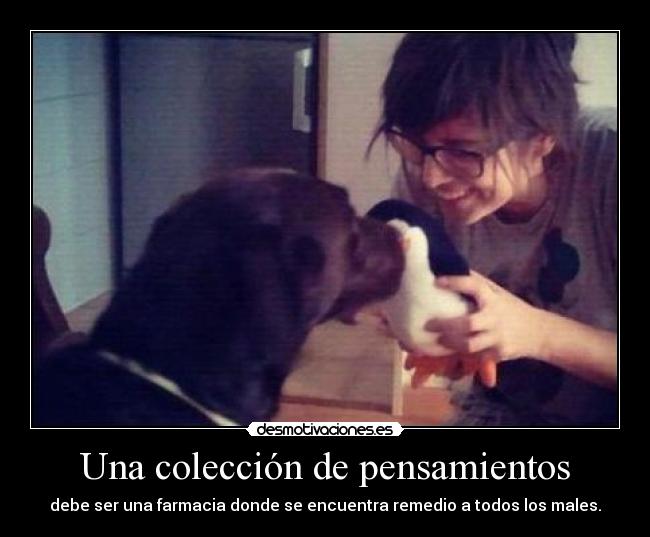 Una colección de pensamientos -