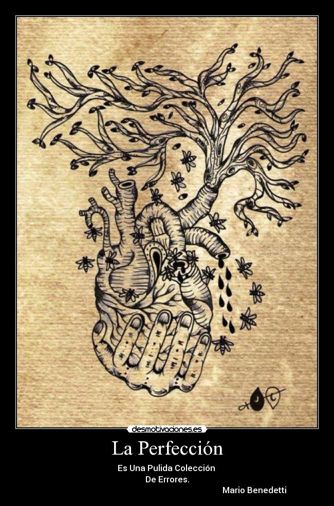 La Perfección -