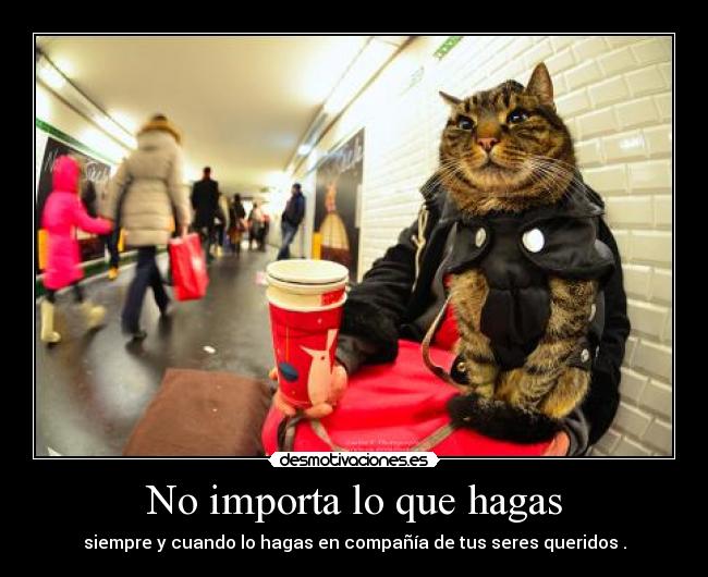 No importa lo que hagas -