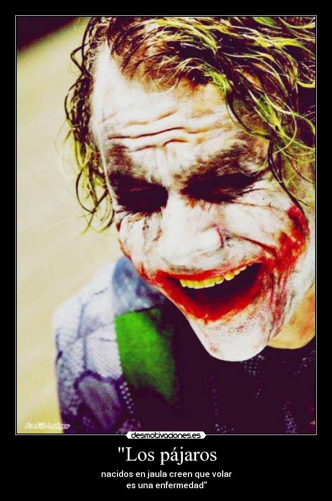 Los pájaros - nacidos en jaula creen que volar
es una enfermedad
