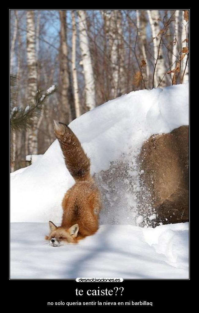 te caiste?? - no solo queria sentir la nieva en mi barbillaq
