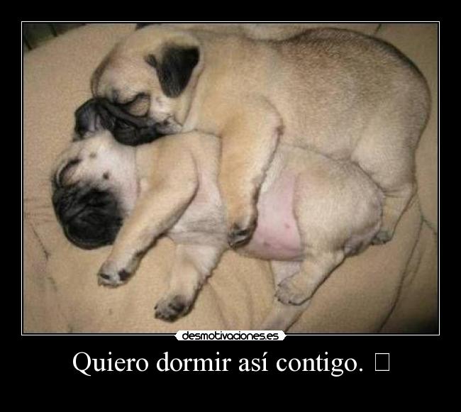 carteles dormir quiero dormir asi contigo desmotivaciones