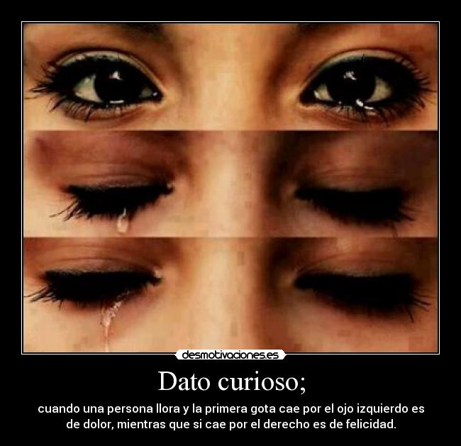 Dato curioso; - cuando una persona llora y la primera gota cae por el ojo izquierdo es
de dolor, mientras que si cae por el derecho es de felicidad.