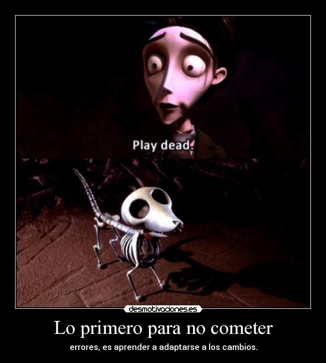 Lo primero para no cometer - errores, es aprender a adaptarse a los cambios.