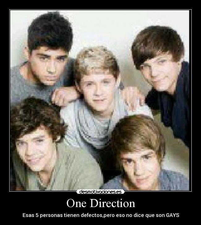 One Direction - Esas 5 personas tienen defectos,pero eso no dice que son GAYS