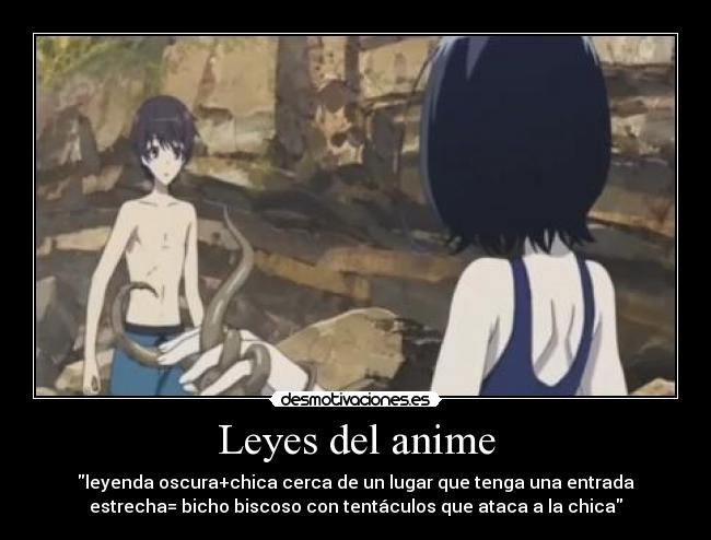 Leyes del anime - 