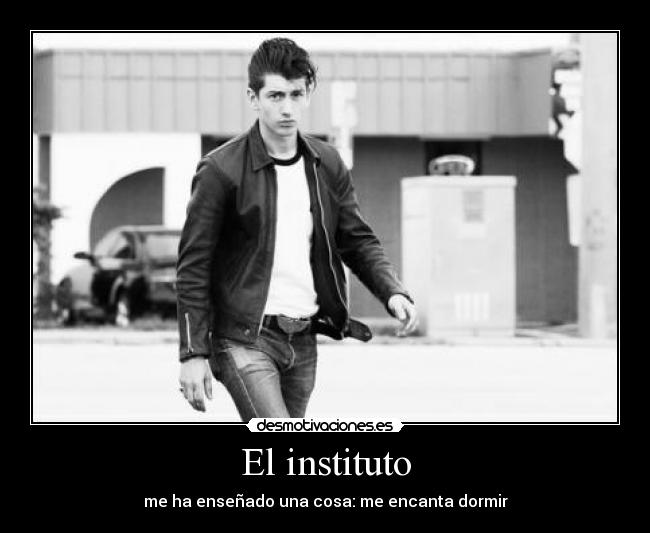 El instituto -