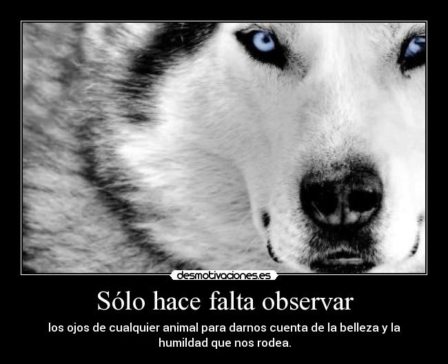 carteles always desmotivaciones