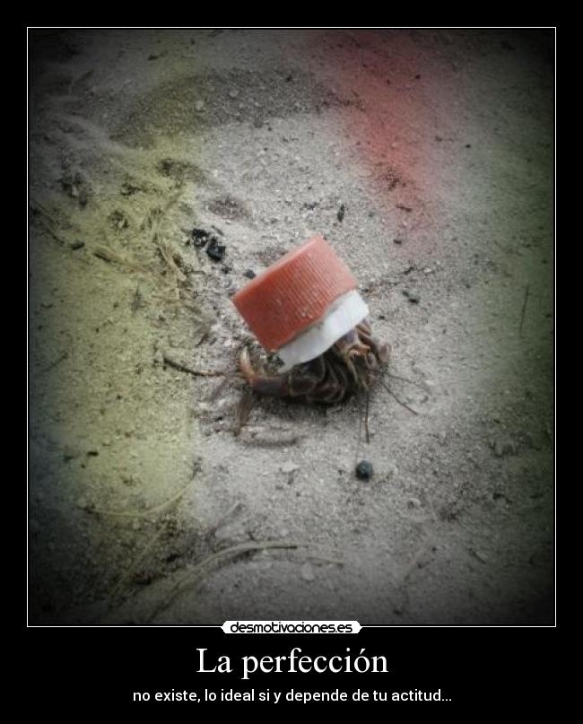 La perfección - 