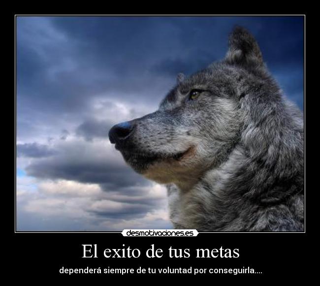 El exito de tus metas - dependerá siempre de tu voluntad por conseguirla....