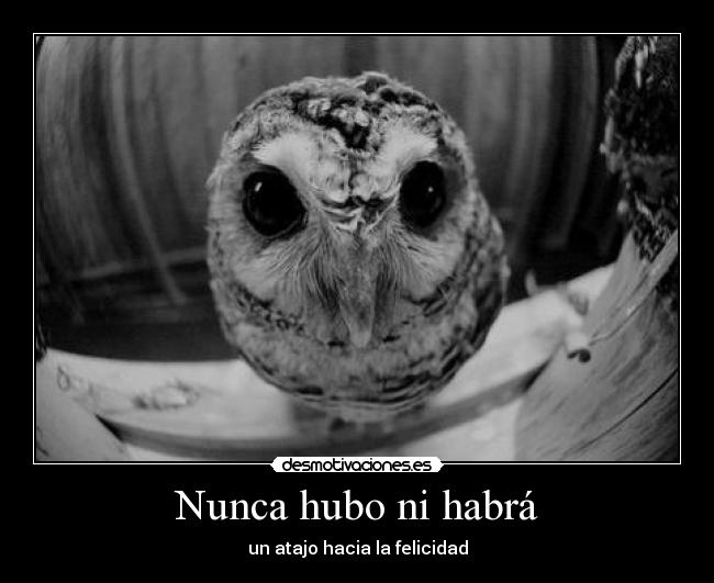 Nunca hubo ni habrá - un atajo hacia la felicidad