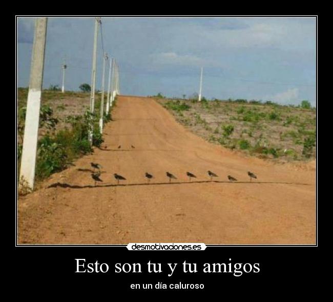 Esto son tu y tu amigos -
