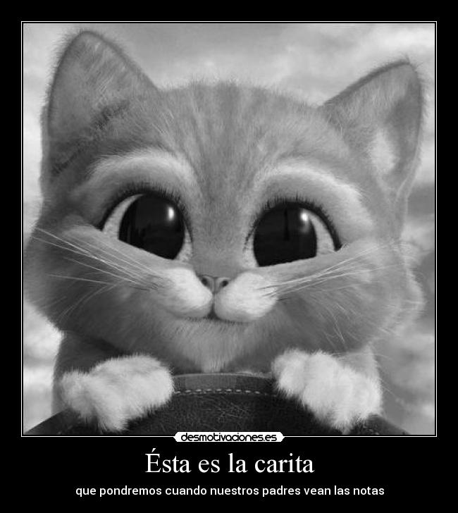 Ésta es la carita - que pondremos cuando nuestros padres vean las notas