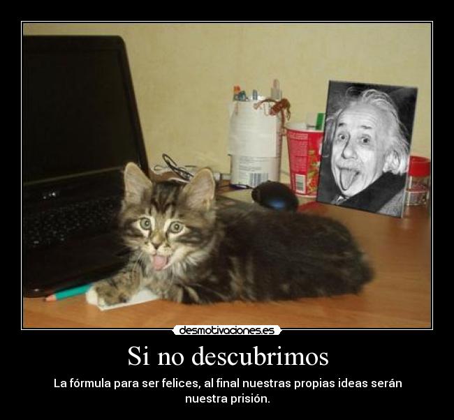 carteles formula lado amo gato einstein lengua felicidad divertitags desmotivaciones