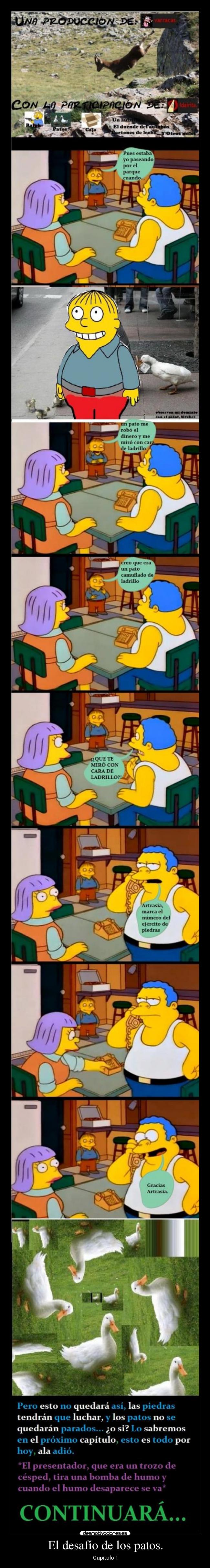 El desafío de los patos. - 