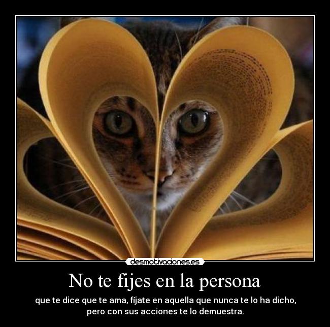 No te fijes en la persona -