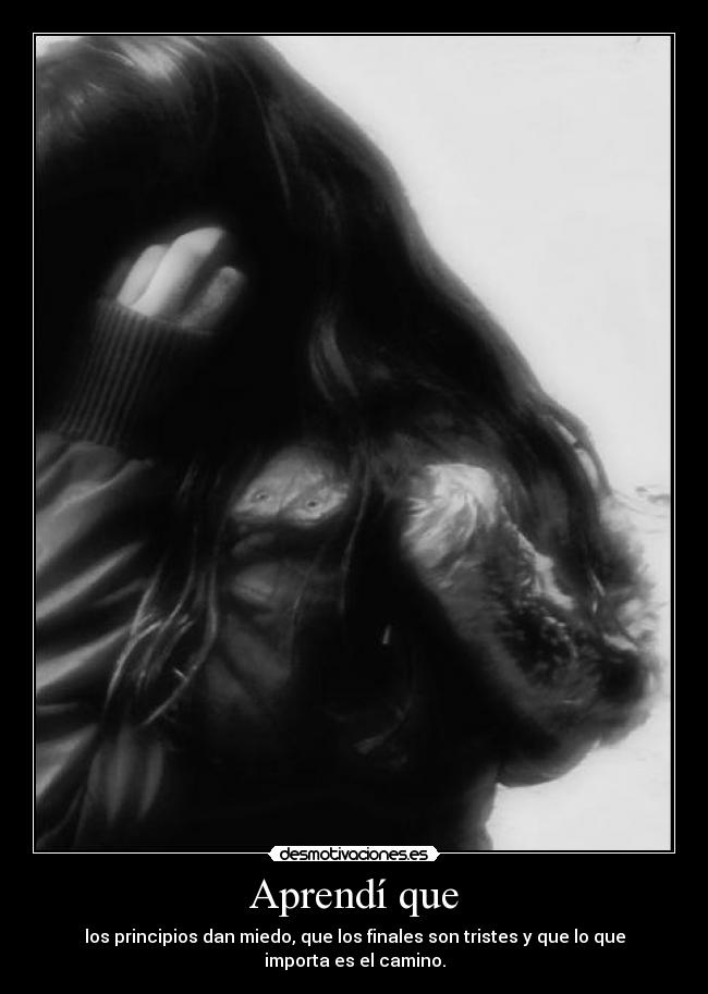 carteles okk desmotivaciones