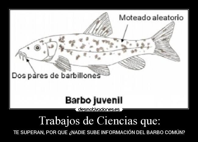 Trabajos de Ciencias que: -