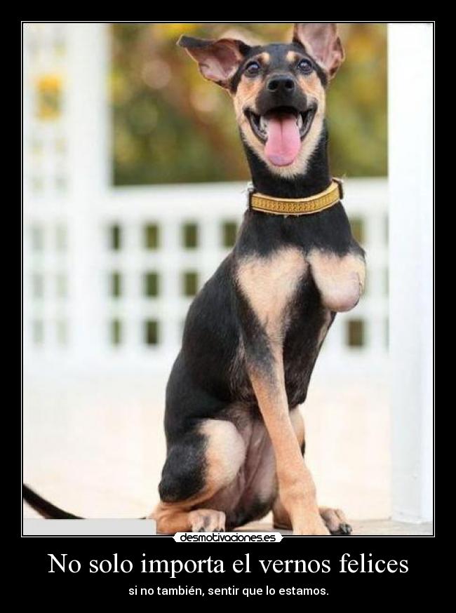 No solo importa el vernos felices -