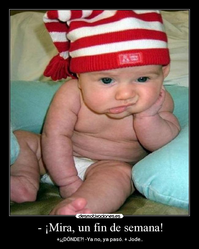 - ¡Mira, un fin de semana! - +¡¿DÓNDE?! -Ya no, ya pasó. + Jode..