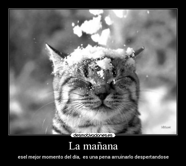 La mañana - esel mejor momento del día, es una pena arruinarlo despertandose