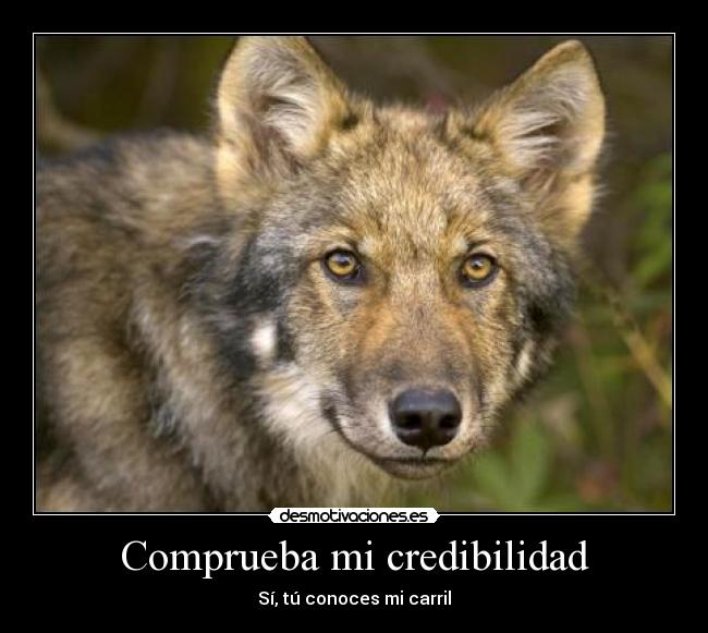 Comprueba mi credibilidad - 