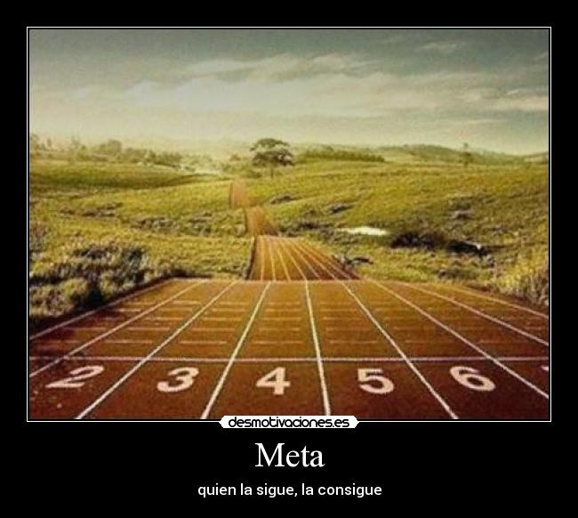 Meta - quien la sigue, la consigue