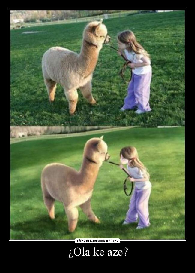 ¿Ola ke aze? -