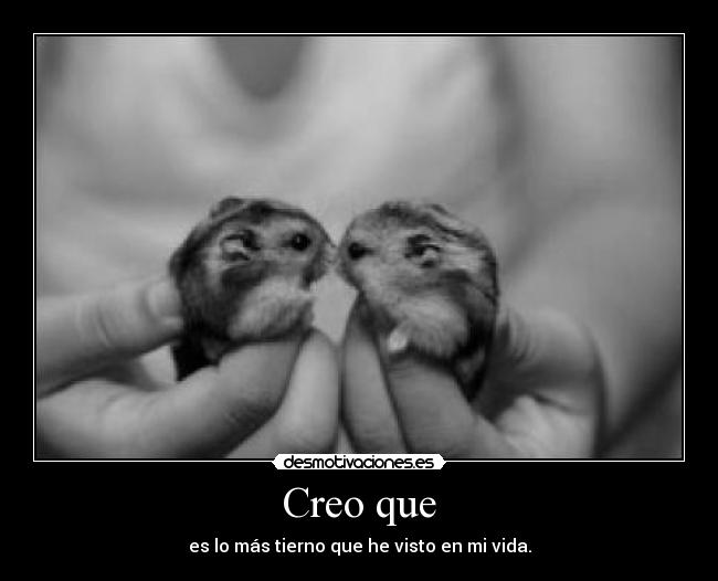 carteles lalala desmotivaciones