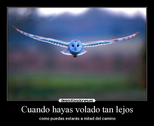 Cuando hayas volado tan lejos - como puedas estarás a mitad del camino