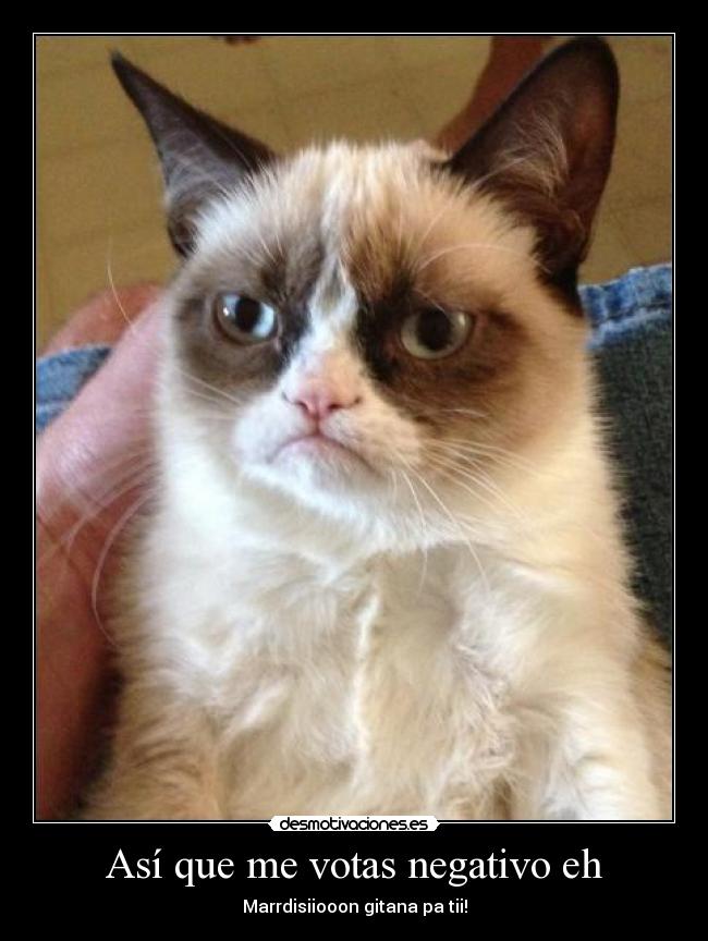 carteles negativo gatosmaldicion marrdidision gitana votar desmotivaciones