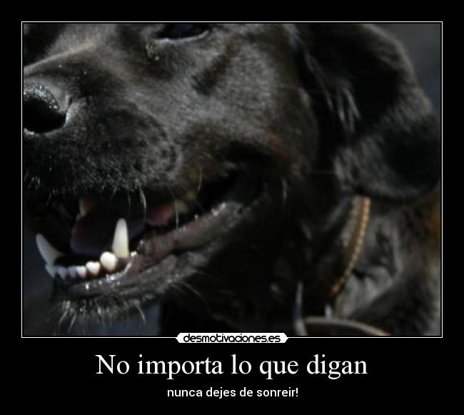 No importa lo que digan - nunca dejes de sonreir!