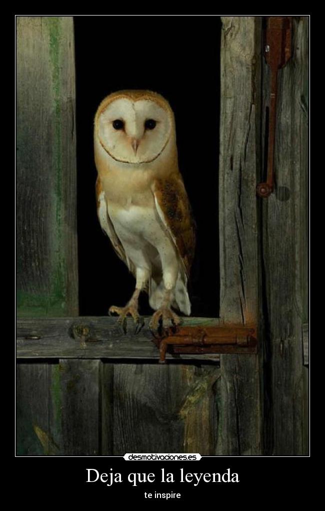 Deja que la leyenda - te inspire