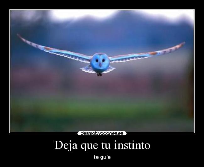Deja que tu instinto -